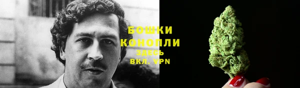 MESCALINE Аркадак