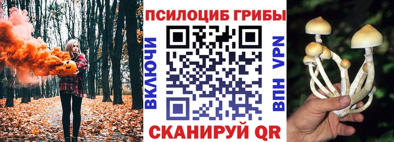 купить наркотики цена  Старый Оскол  blacksprut ССЫЛКА  Галлюциногенные грибы Psilocybine cubensis 