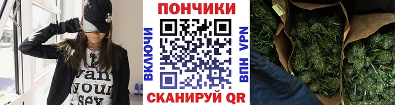 где купить   kraken маркетплейс  Бошки Шишки SATIVA & INDICA  Старый Оскол 